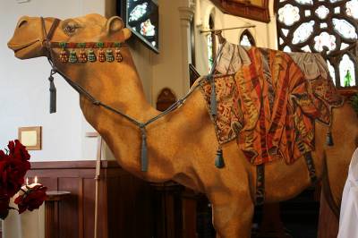 "Camel" - Life size camel for Hospice Holly Trail Havelock-North 2012, Acrylics on Board - Painting by Katja Morrison, an artist from Hawke's Bay, New Zealand.