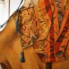 Camel (Saddle Detail)